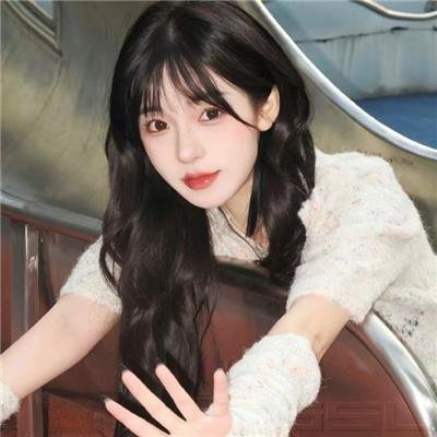 风流女贼海报