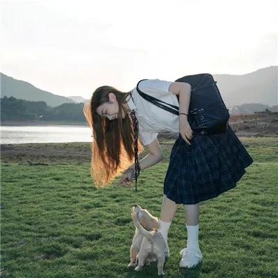 狗的生涯海报